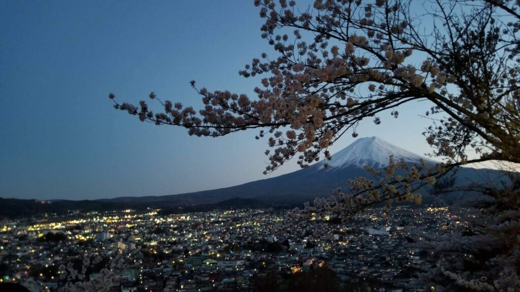 桜祭りの富士山と桜